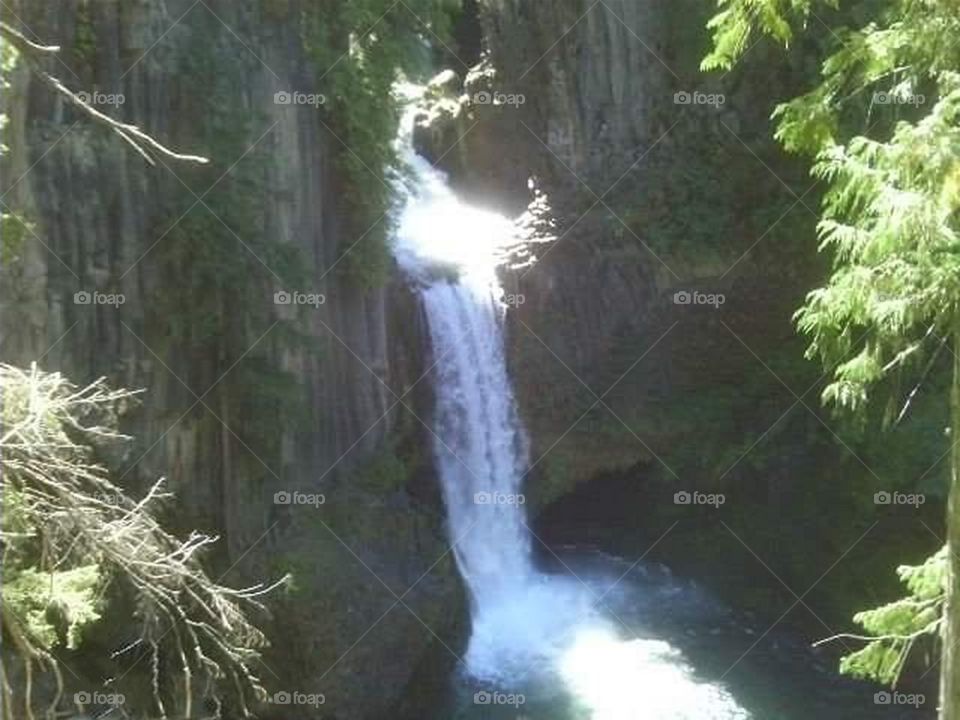 beautiful Toketee Falls in Oregon