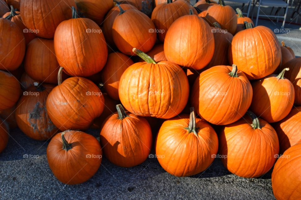Stack of pumpkins