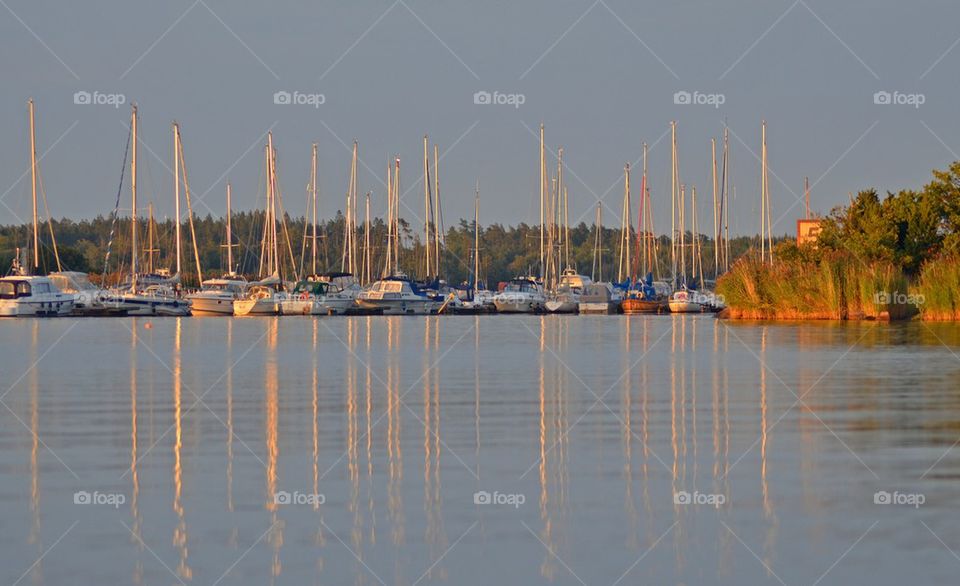 Boats moored at harbor in sea