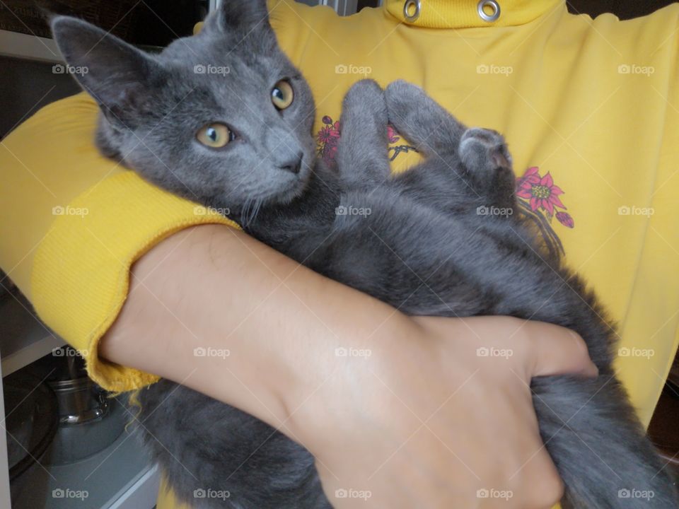 Pets are something special.  They give you so much sincere love that a man melts away from their love.  This little cat of mine is special.  So attached to the whole family and gives us great joy.😍🐱