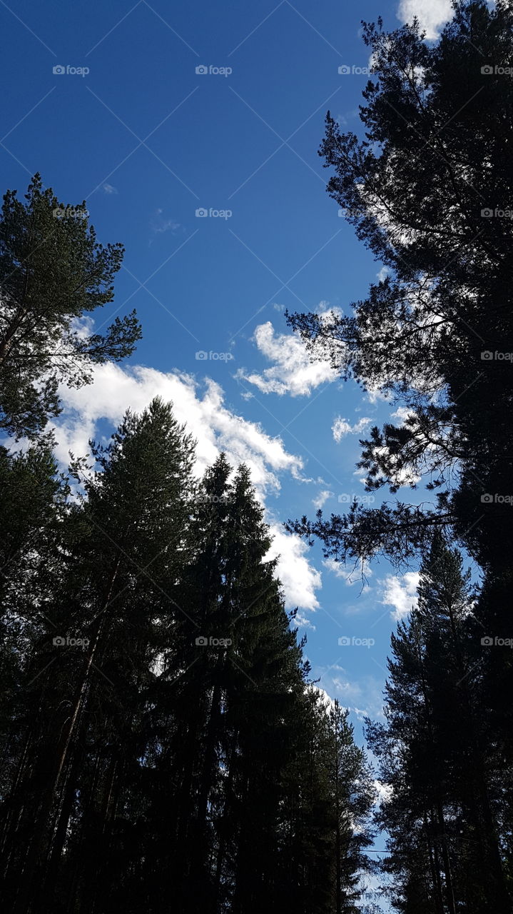 vacker himmel kvällspromenad kvällstid