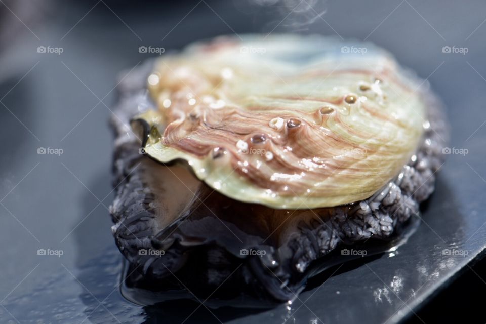 Abalone perfection in nature. 