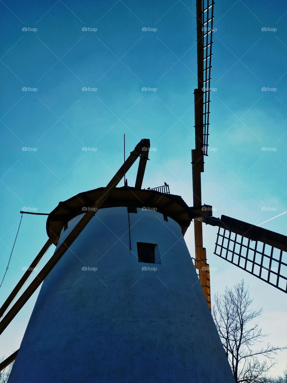 windmill