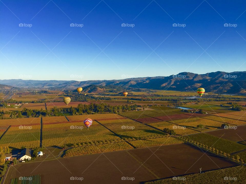 Balloon Napa Valley