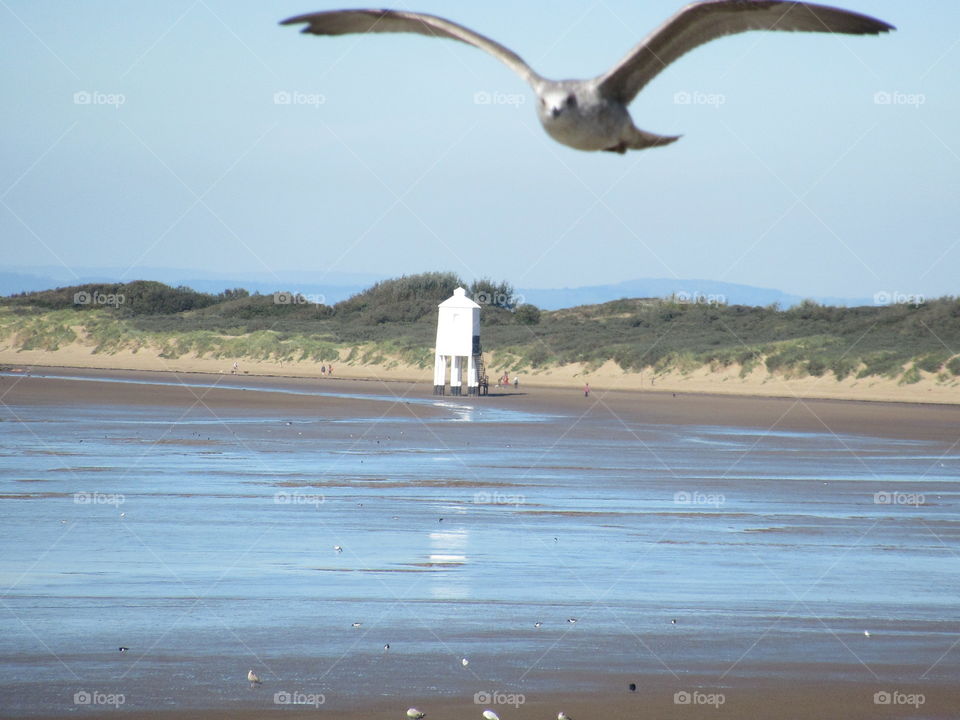 Burnham-on-sea lighthouse in the distance and a seagull flying across the beach