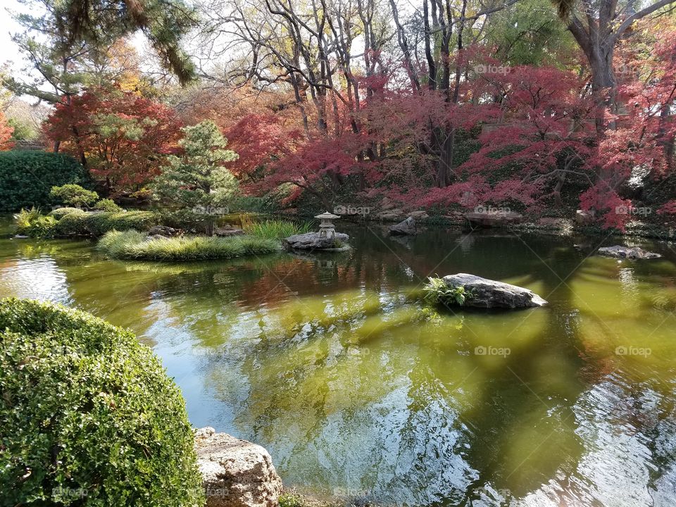 Japanese Gardens at Fort Worth botanical gardens