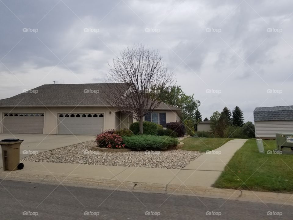 Home, No Person, House, Architecture, Tree