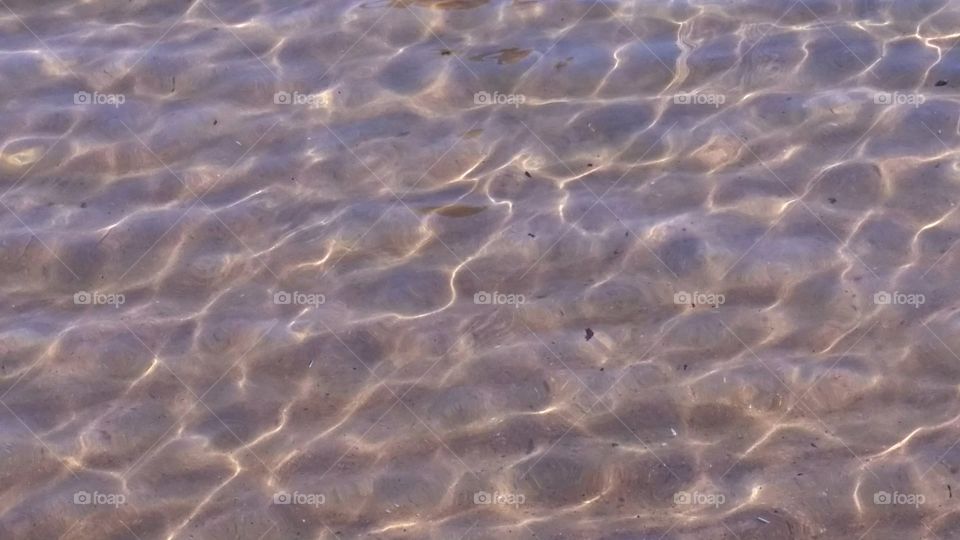 beach and water