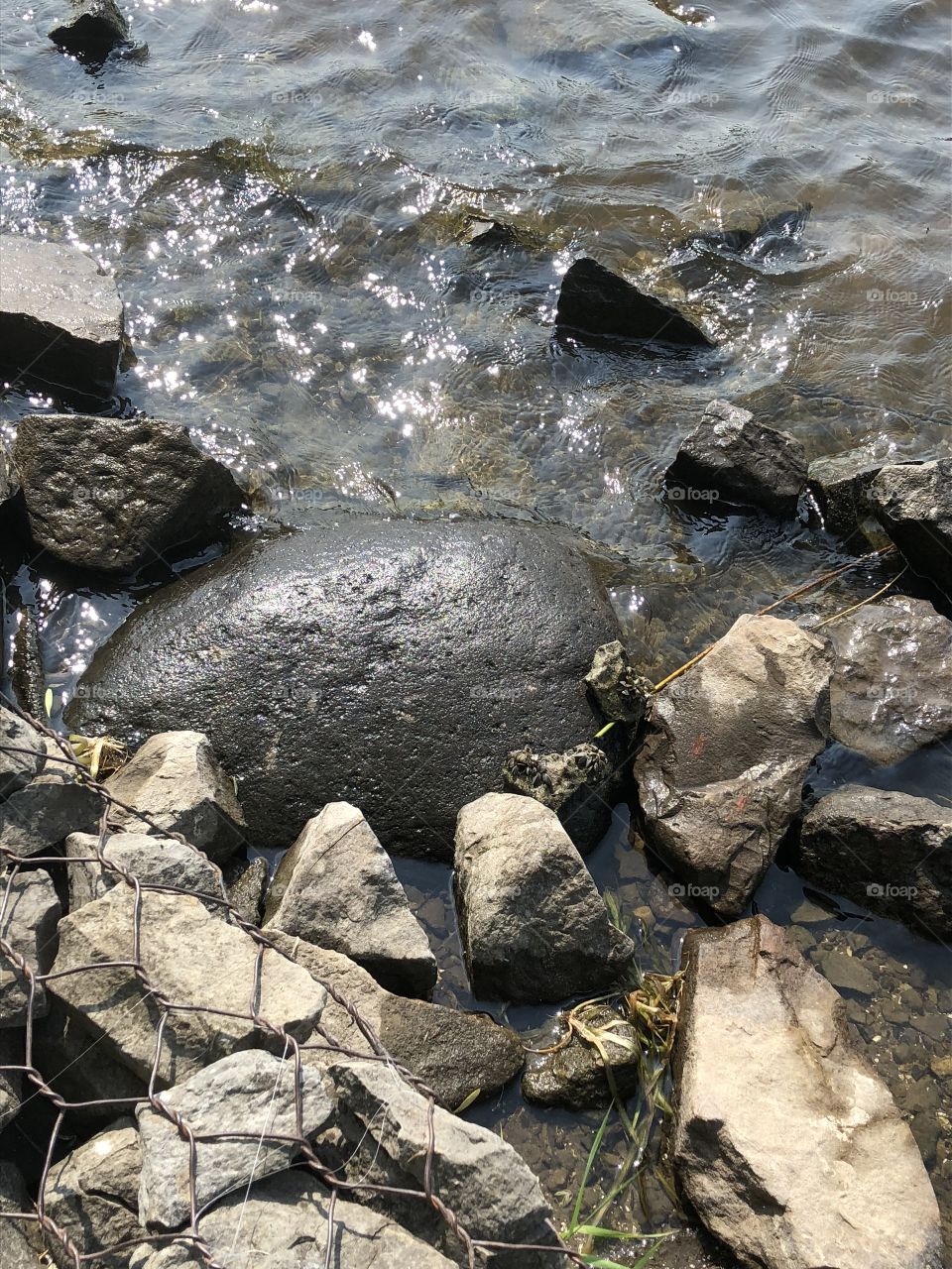 River Shore line rocks 