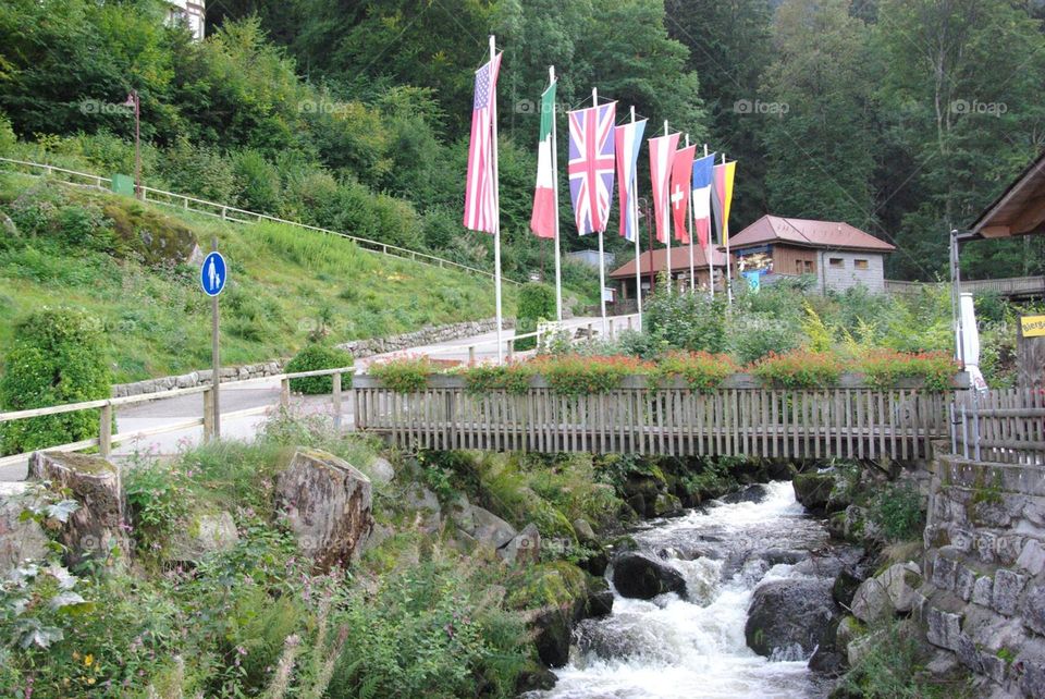 Mountain creek. Black forest,  Germany