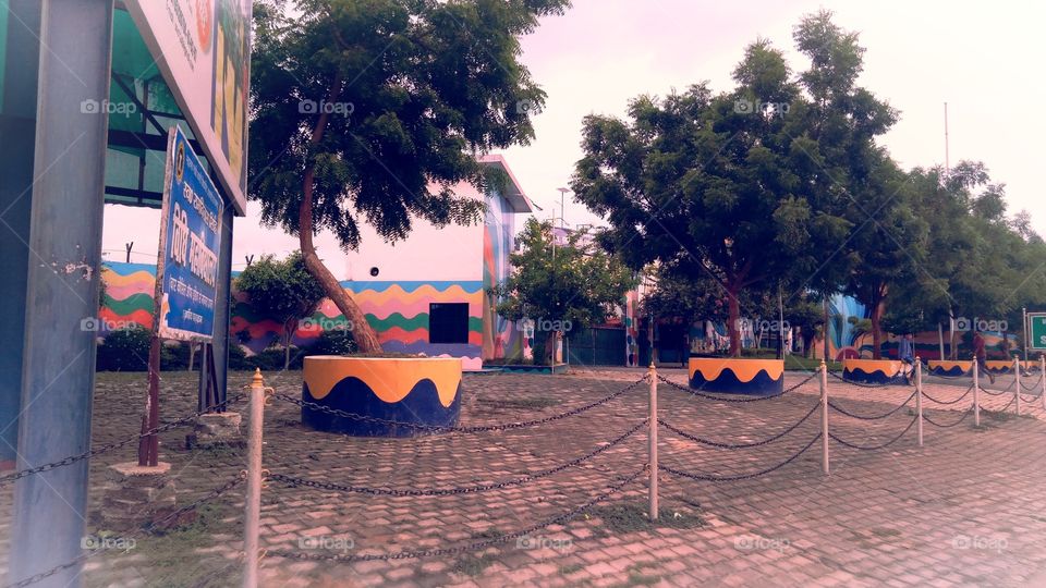 Natural Tree UP India Chandauli