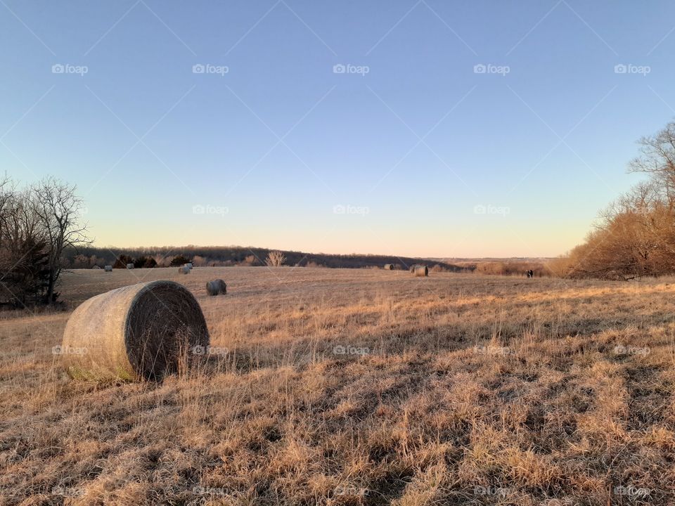 Hay Bale Field