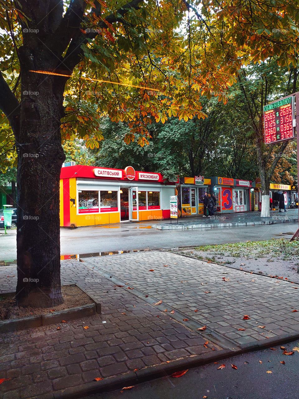 Moods of autumn. Autumn outside the window