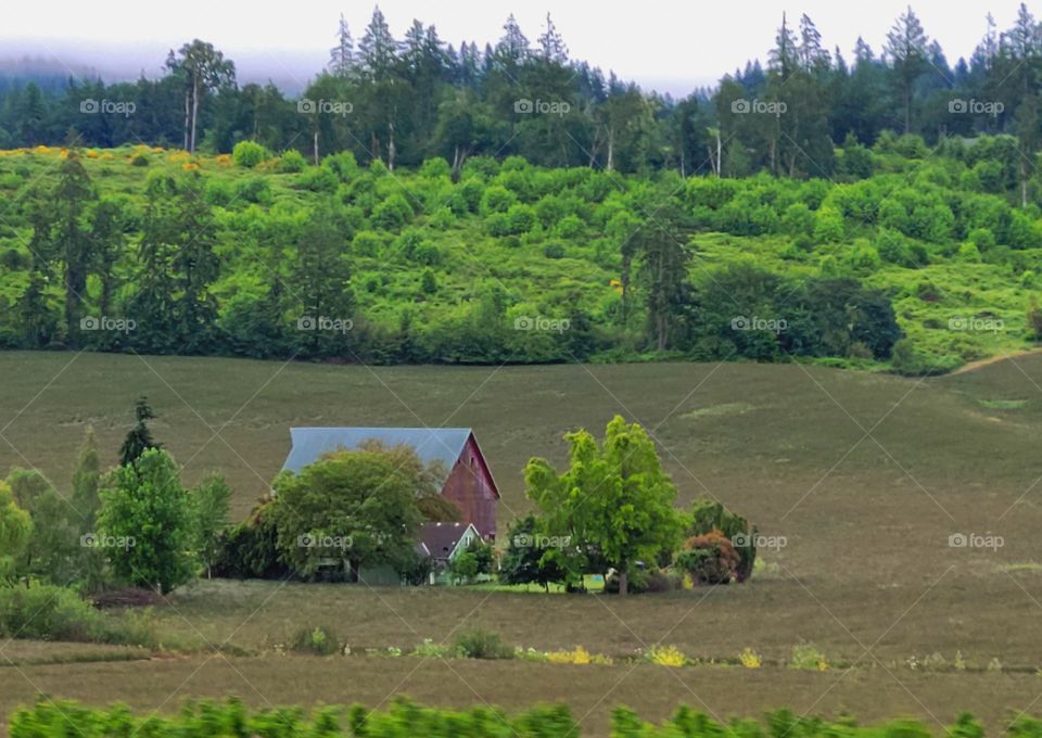 Overcast morning in Oregon Country. (I love this little farm)