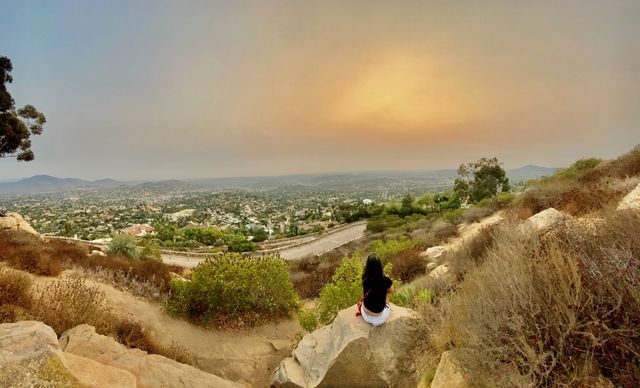 Views 