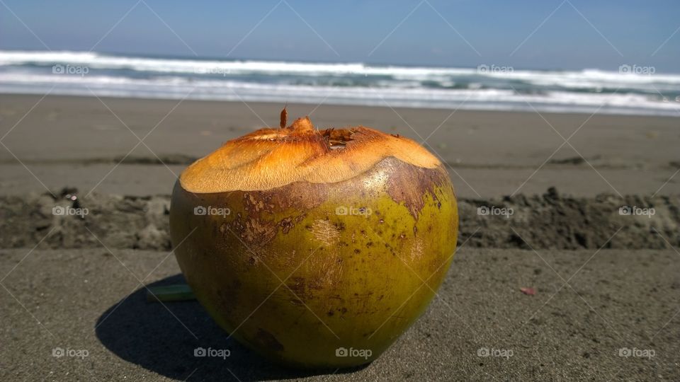 Coconut