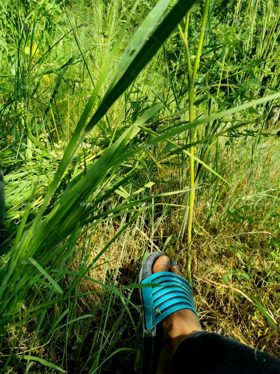 Outdoor shoot