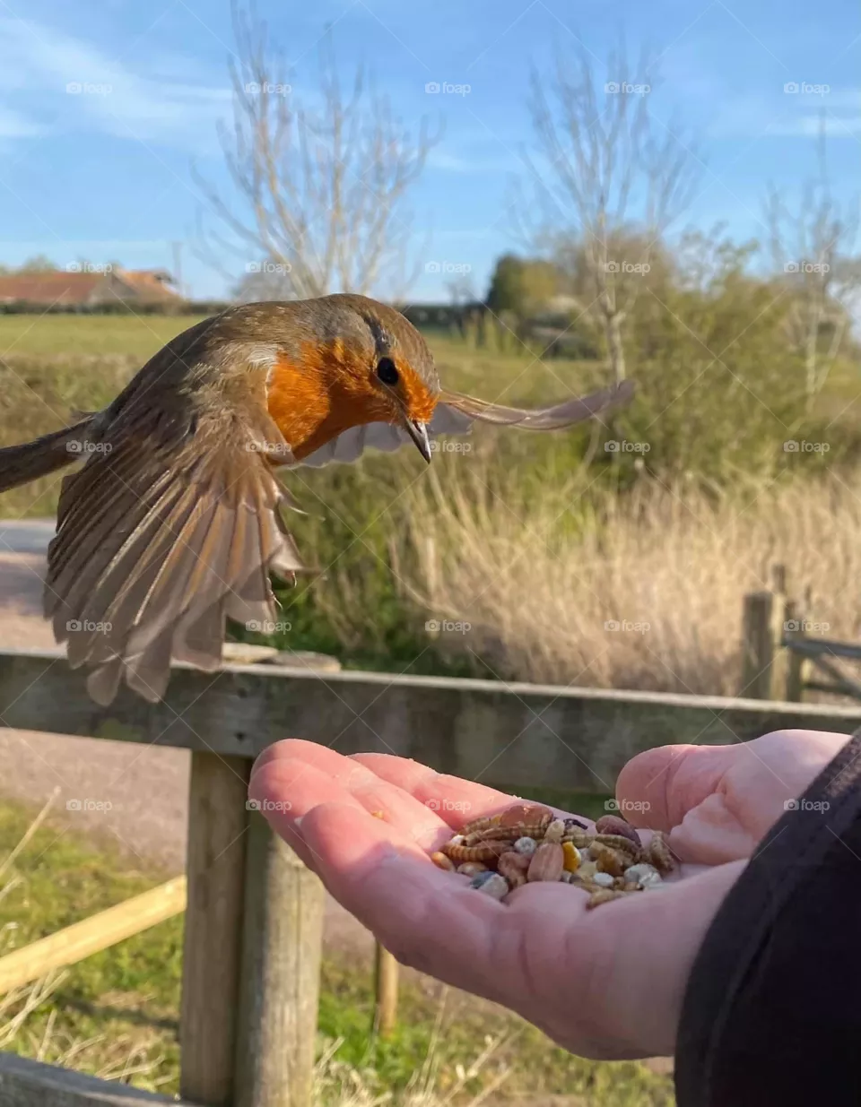 Coming to eat
