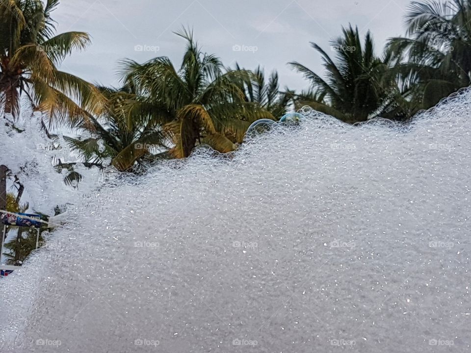 Foam party among palm trees