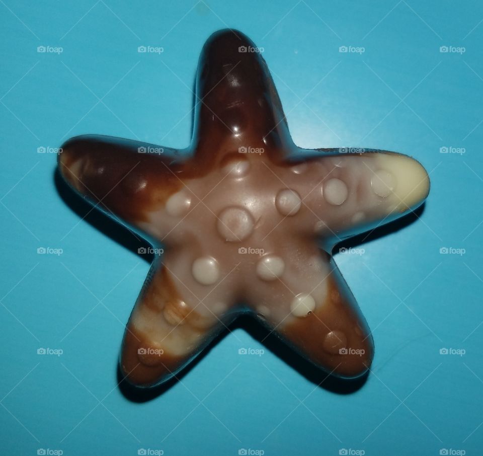 starfish shaped chocolate