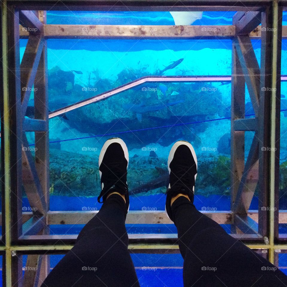 Visiting aquarium 