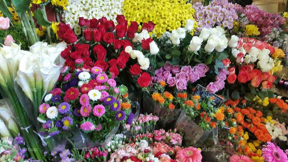 Mexican Flower Market
