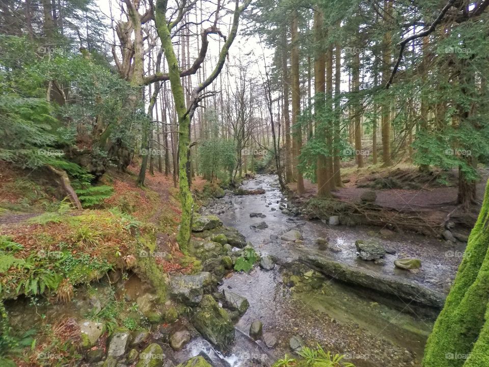 Scenic Northern Ireland