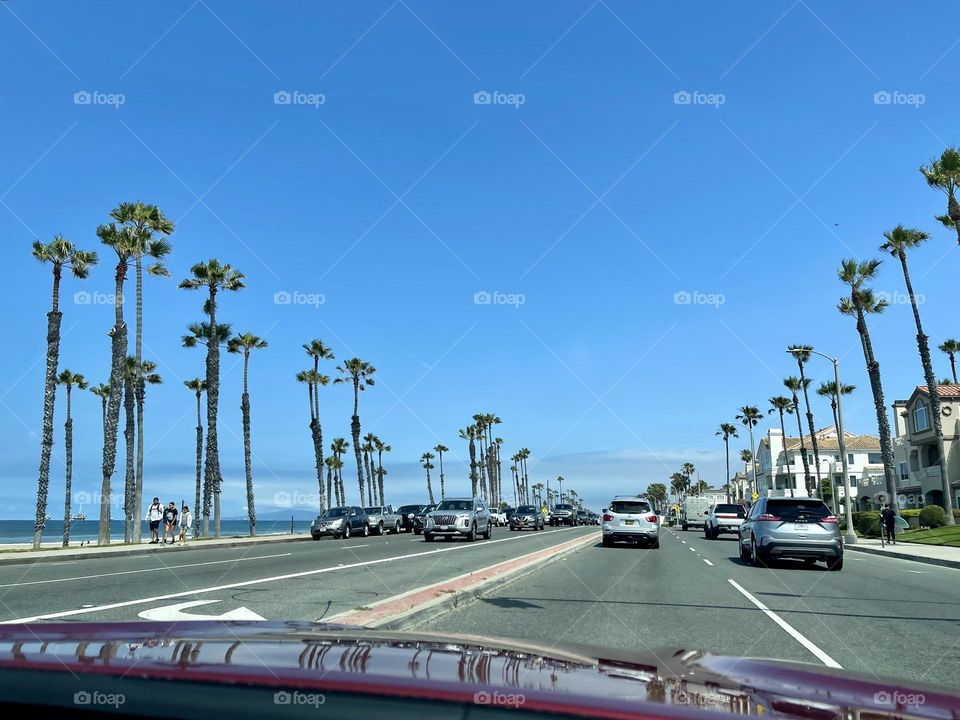 View from front window of the car to the road with palm trees 