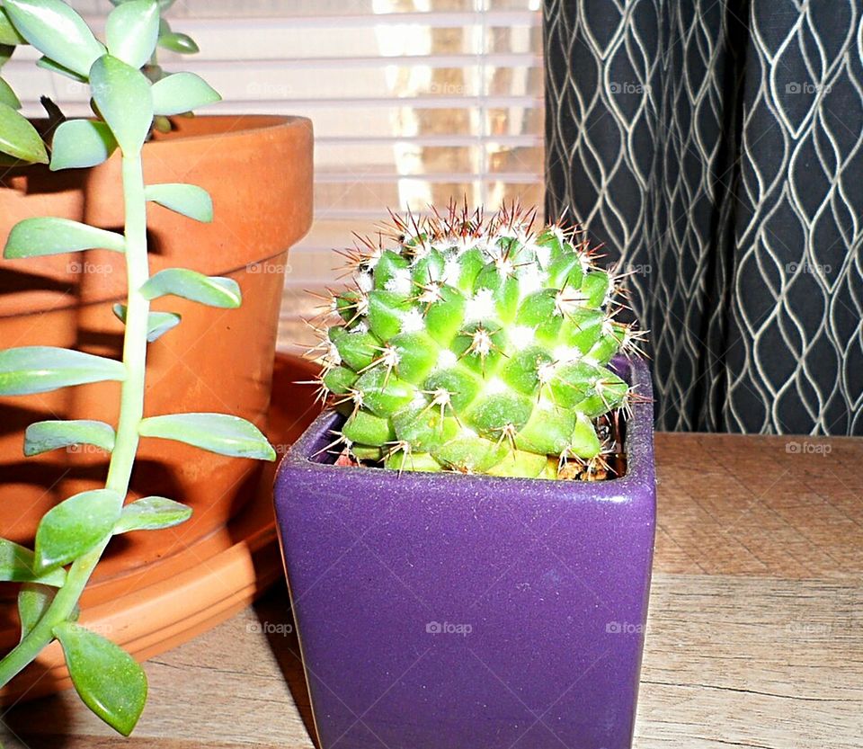 Nana, you must be their favorite.