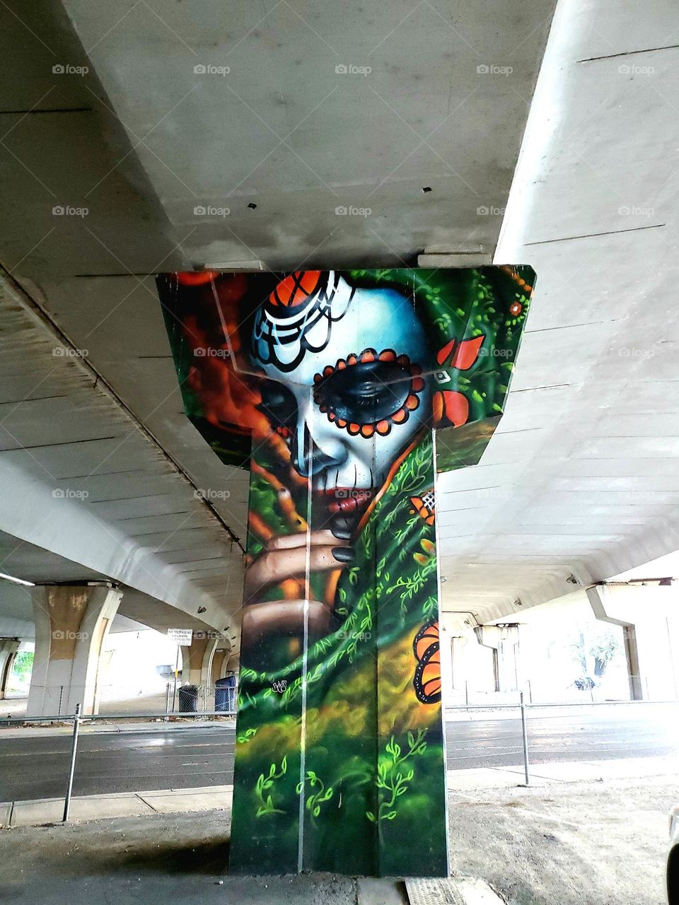 Captivating visual street art on a cement highway pillar underpass,  celebrating Dia de los muertos/ Day of the dead.  A Mexican cultural tradition of celebrating and remembering those that have passed. Artist: @PauLGaris0n13