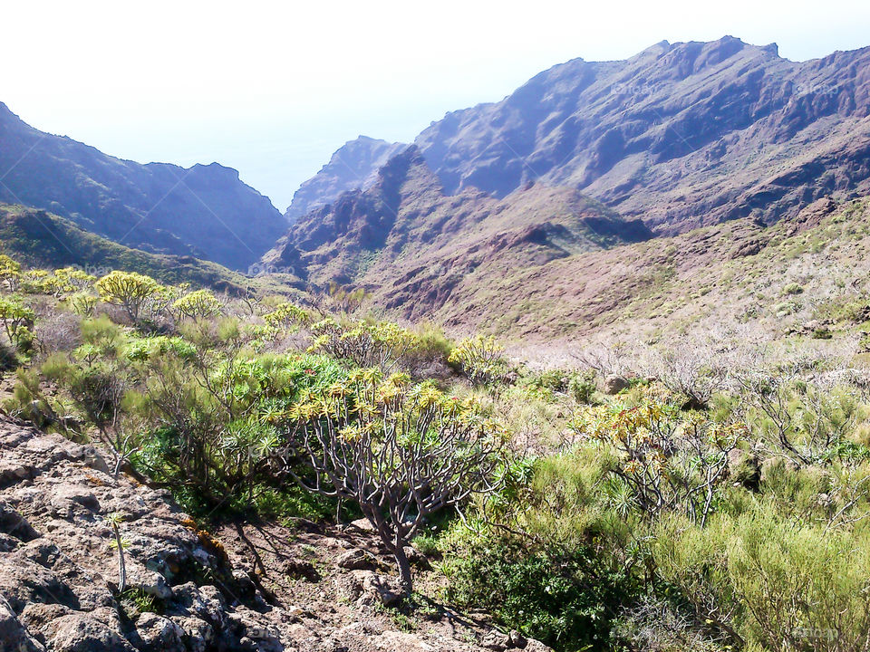 Landscape around Masca