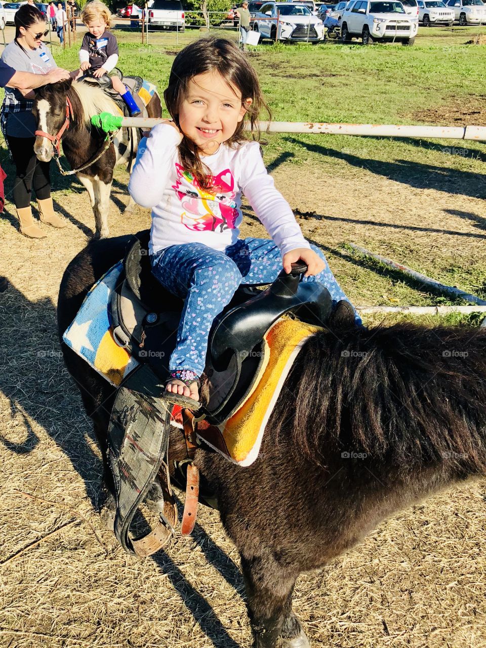 Blue riding pony at the pumpkin patch