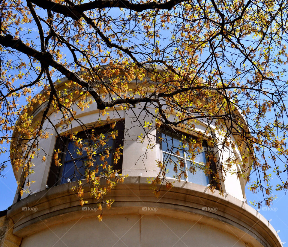 tree turret georgetown texas by refocusphoto