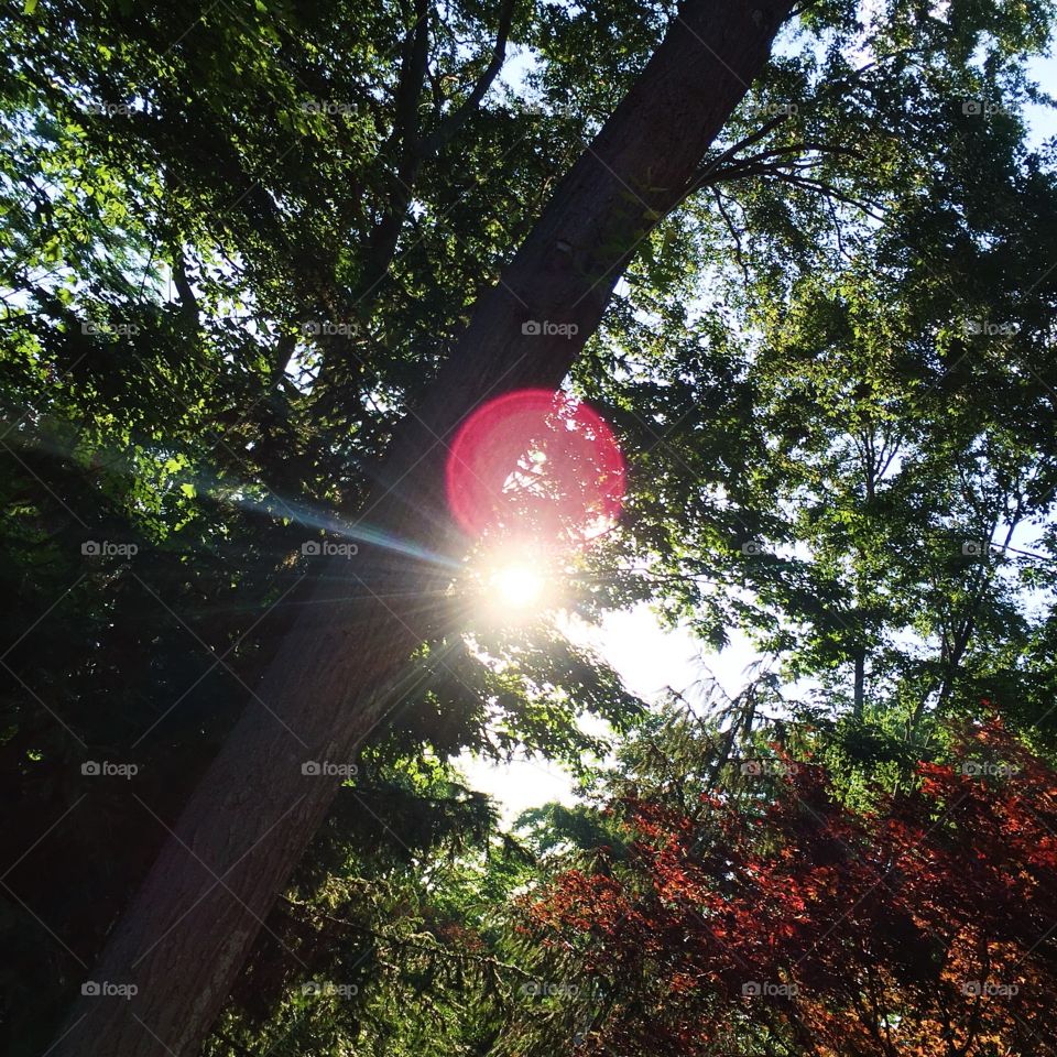 Saturday's sunset run