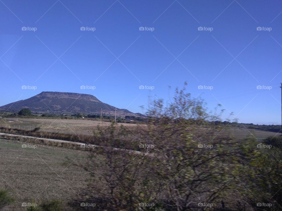 Battle: Countryside vs City