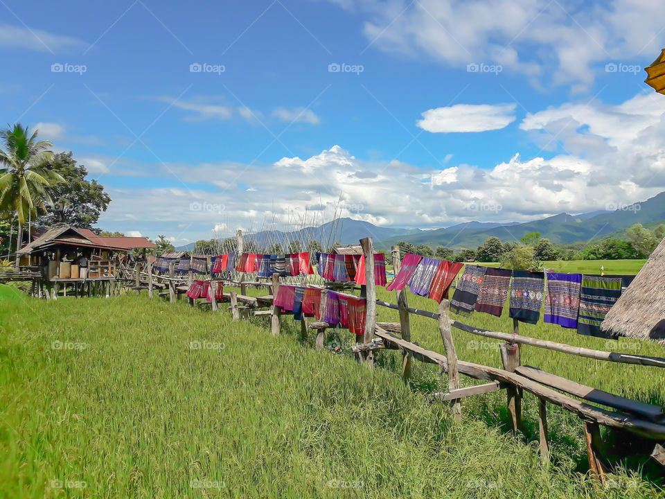 Boardwalk on the rice paddies of the coffee shop is a place where tourist PUA district, Nan province