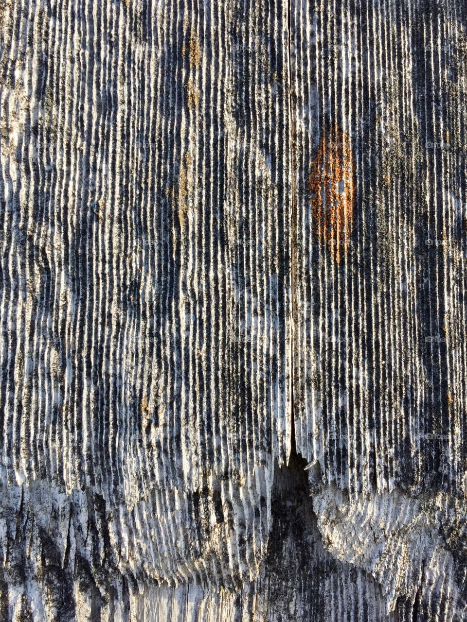 Creative Textures - wood surface