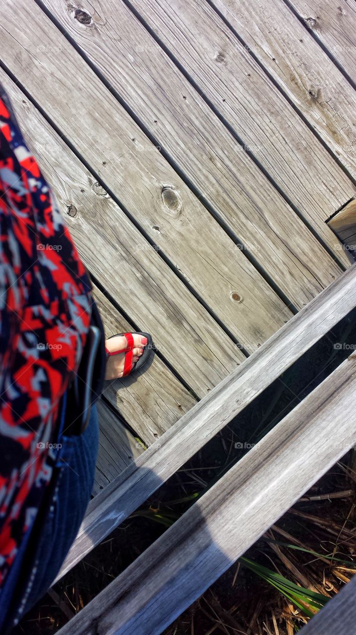 Boardwalk Over Marshy Land

