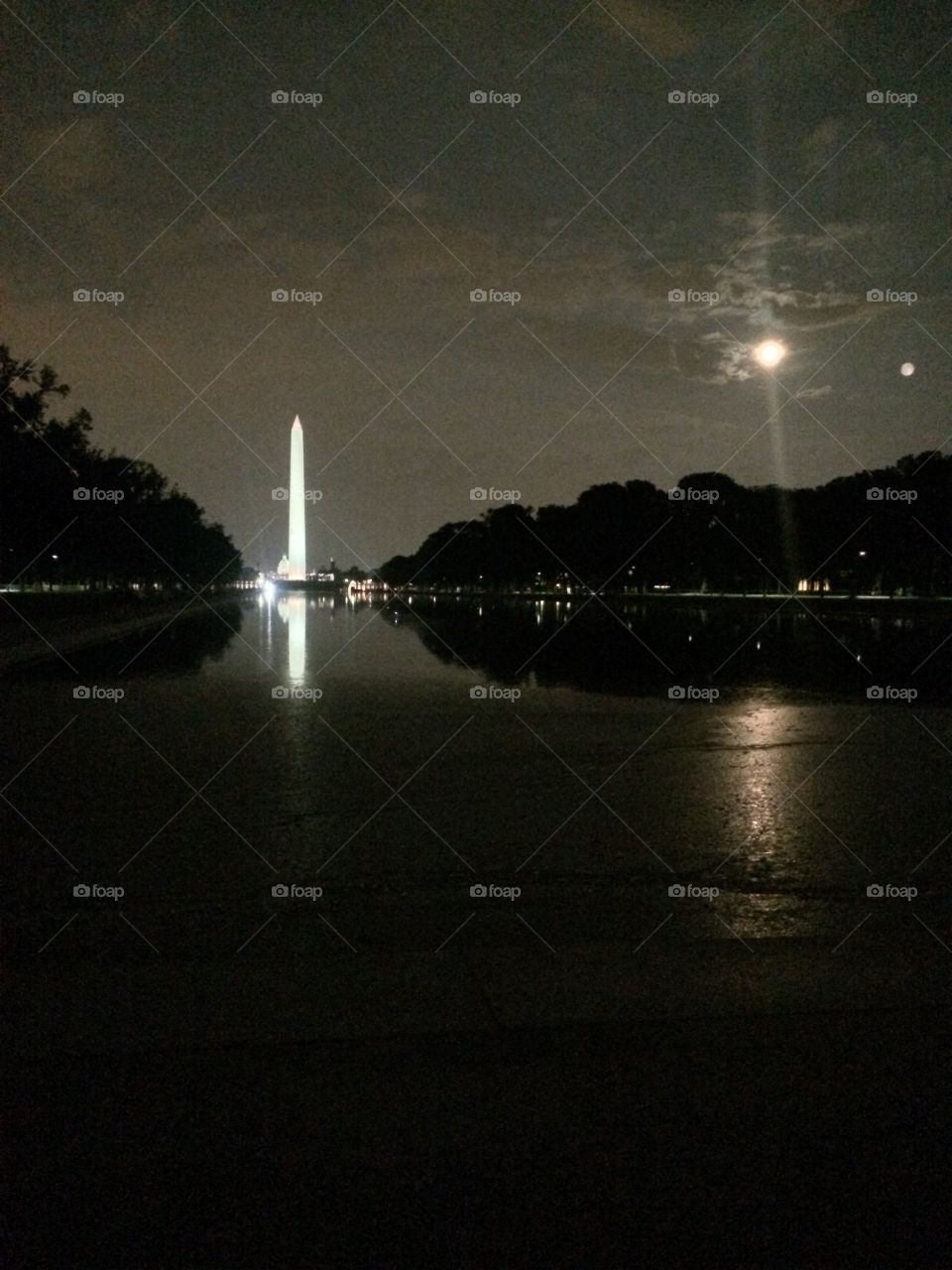 The Reflecting Pool 
