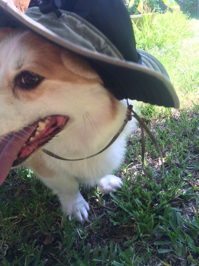 Always ready for an adventure. 