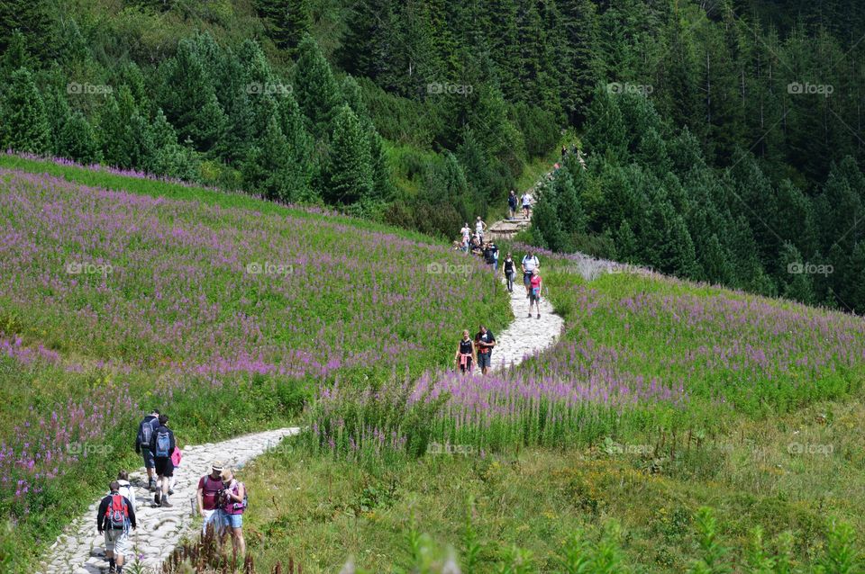 Hiking trails Tatra Mountains in Poland