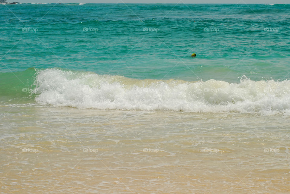 Ocean, wave and sand 