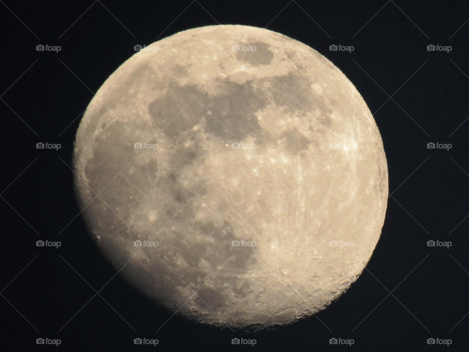 Impressive off-white moon is shown against black night sky. Many craters can be seen with impressive detail. 