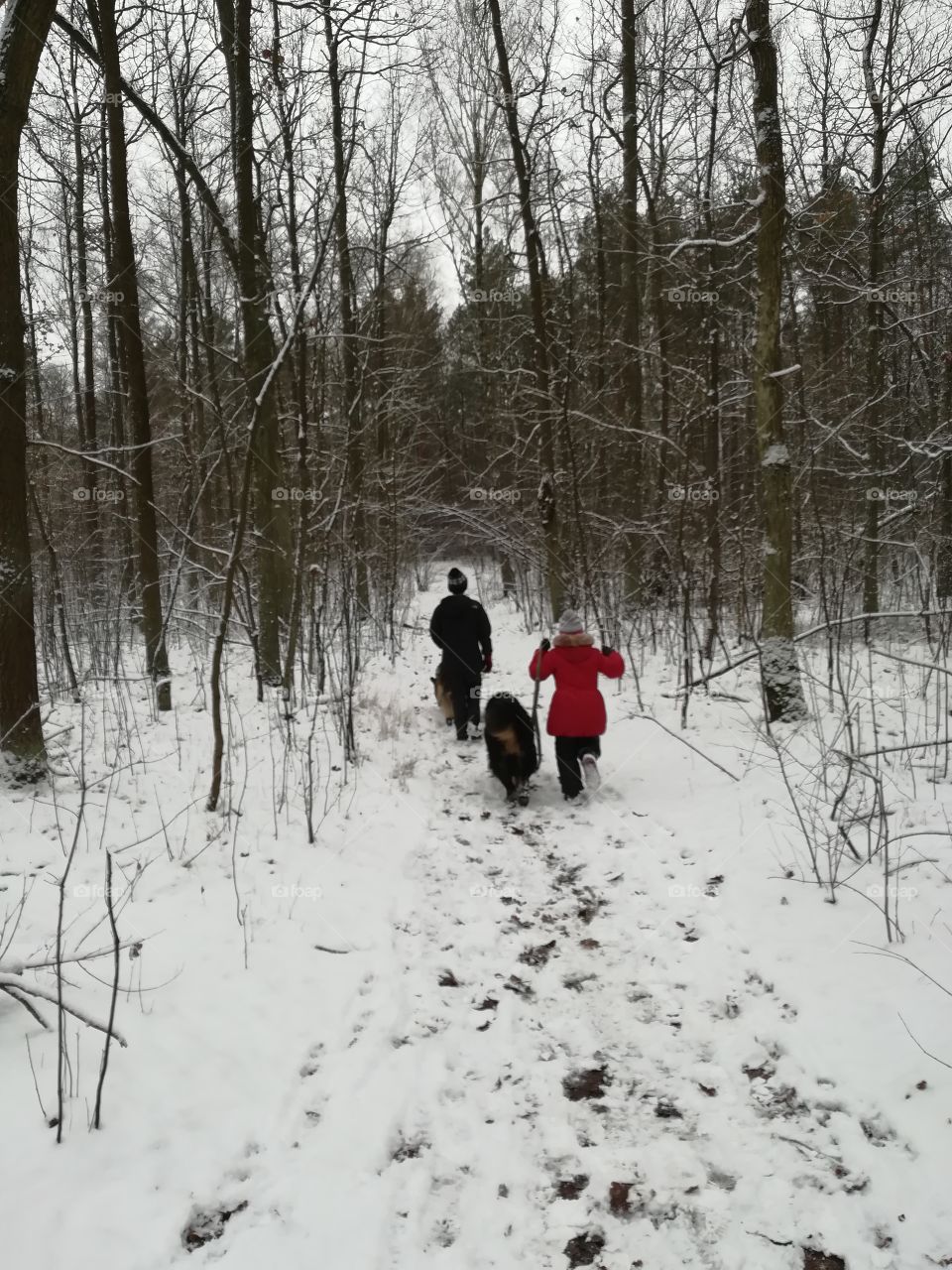 Winter walk