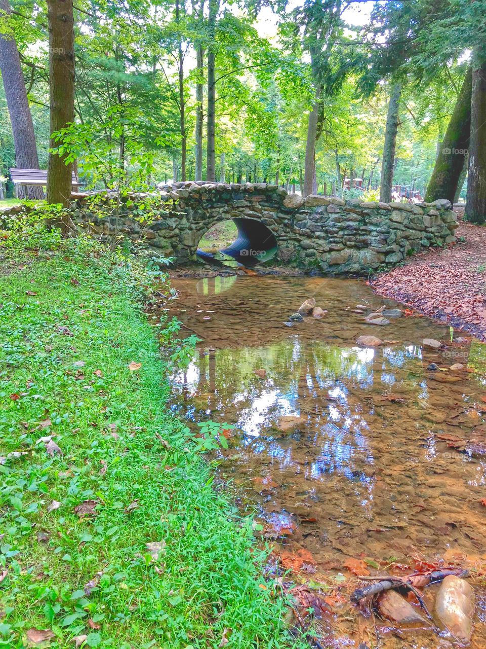 Hiking trail stream Forrest 