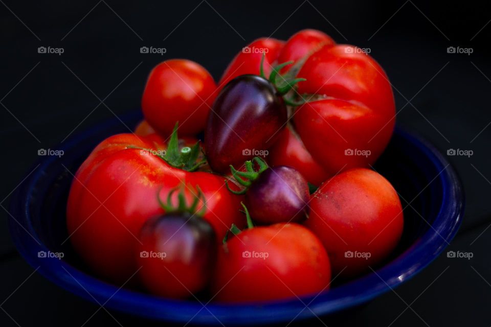 Sep 27 and it's officially fall but summer still reigns in my garden. Just a few of the plethora of tomatoes growing and ripening in my garden. Hold on, summer has some heat left to share with fall! Yep but fall it is!