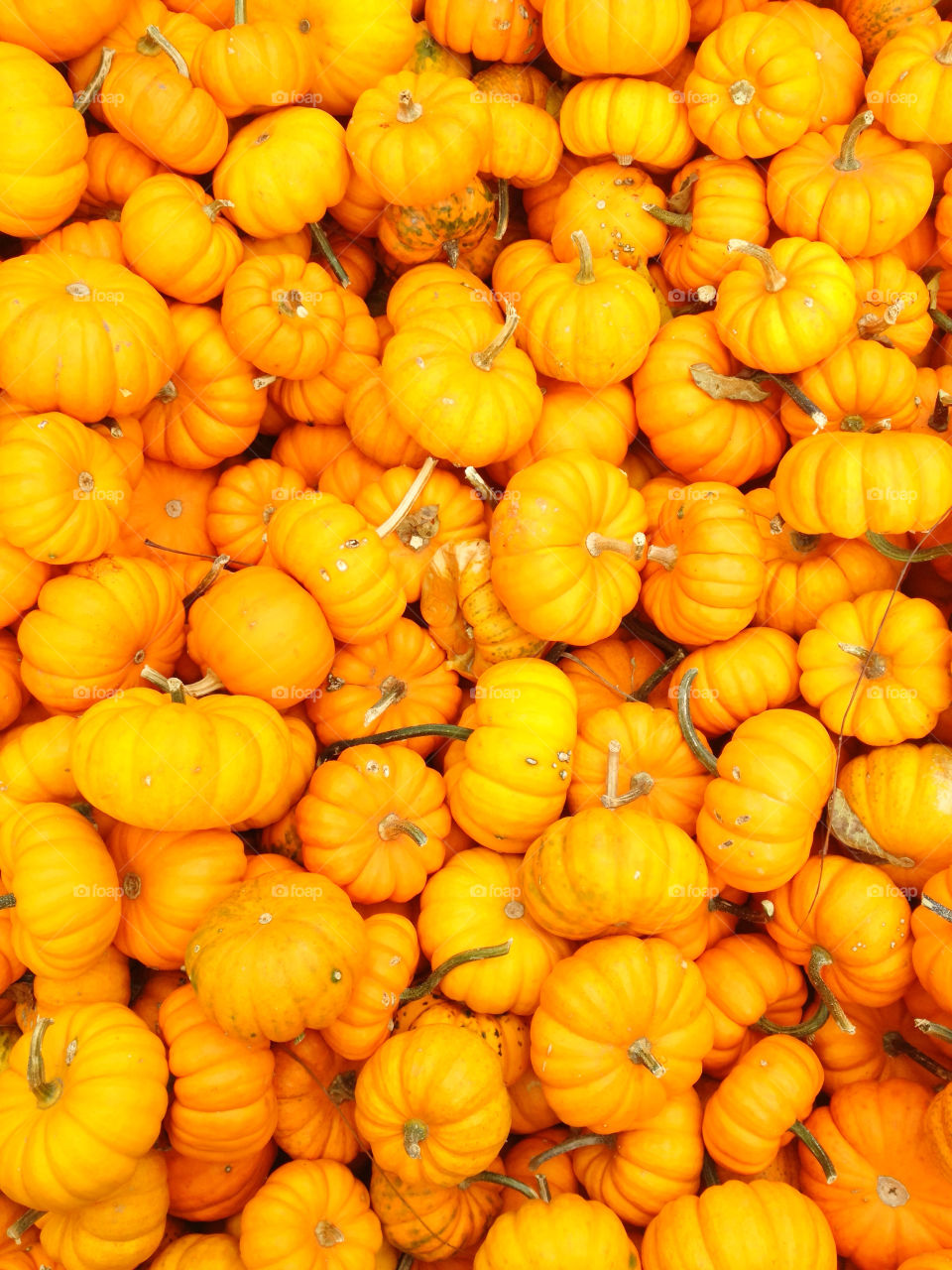 background orange fall autumn by simmogl