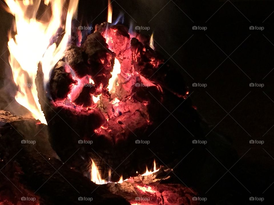 Fireside. Campfire 