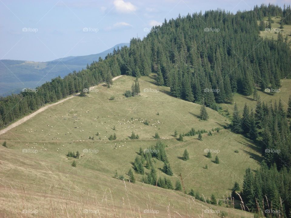 Mountain landscape