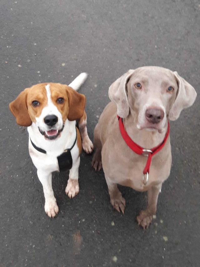Ruby und Benno